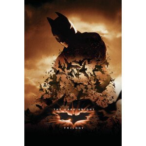 Umělecký tisk The Dark Knight Trilogy - Bats, (26.7 x 40 cm)