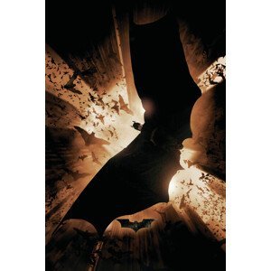 Umělecký tisk The Dark Knight Trilogy - Bat Wings, (26.7 x 40 cm)