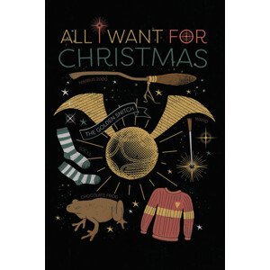 Umělecký tisk Harry Potter - All I Want For Christmas, (26.7 x 40 cm)