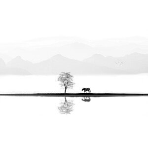 Umělecká fotografie Quiet Moment, Ivan Huang, (40 x 30 cm)