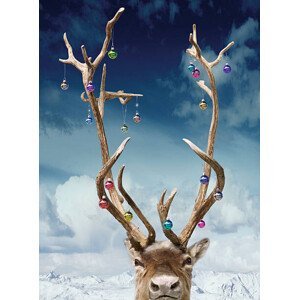 Umělecká fotografie Reindeer's antlers decorated with baubles, close-up, Coneyl Jay, (30 x 40 cm)