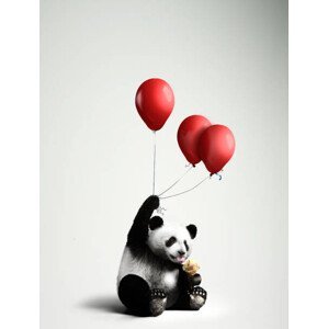 Umělecká fotografie Panda holding balloons, licking ice cream, C.J. Burton, (30 x 40 cm)