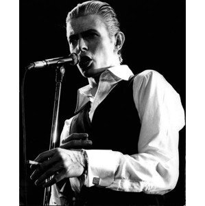 Umělecká fotografie David Bowie on stage at the Empire Pool, Wembley, 1976, (35 x 40 cm)