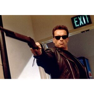 Umělecká fotografie Terminator 2, 1991, (40 x 26.7 cm)