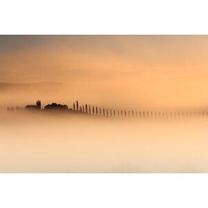 Umělecká fotografie Foggy sunrise, Alessandro Bergamin, (40 x 26.7 cm)