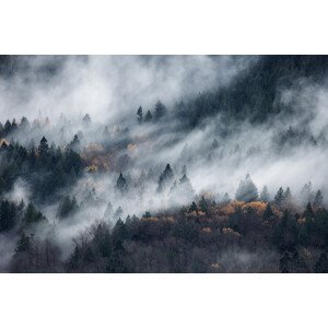 Umělecká fotografie A path of the fog, Tomomi Yamada, (40 x 26.7 cm)