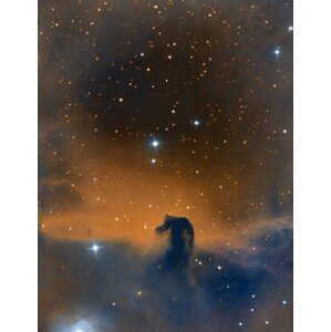 Umělecká fotografie The Horsehead Nebula, MilosGagic, (30 x 40 cm)
