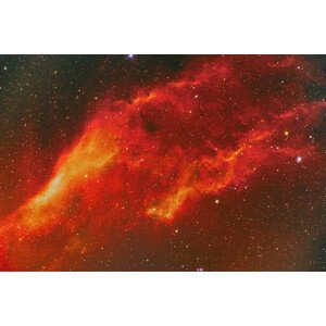 Umělecká fotografie NGC 1499, the California Nebula in, Reinhold Wittich/Stocktrek Images, (40 x 26.7 cm)