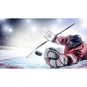 Umělecká fotografie Ice Hockey Goalie, Dmytro Aksonov, (40 x 22.5 cm)
