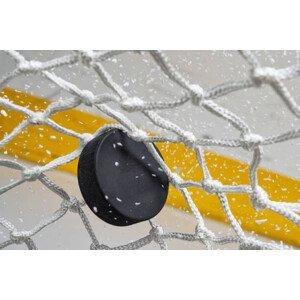 Umělecká fotografie Close-up of an Ice Hockey puck, cmannphoto, (40 x 26.7 cm)