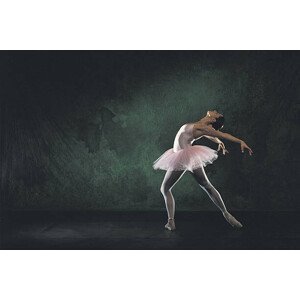 Umělecká fotografie Ballerina posing, Comstock, (40 x 26.7 cm)