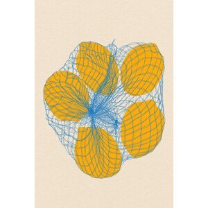 Ilustrace Five Lemons In a Net Bag, Rosi Feist, (26.7 x 40 cm)