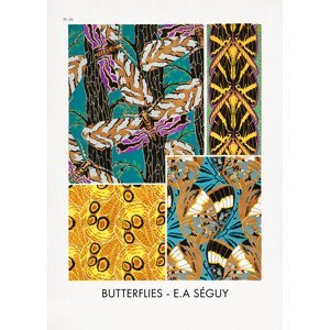 Ilustrace Butterflies 20, Studio Collection, (30 x 40 cm)