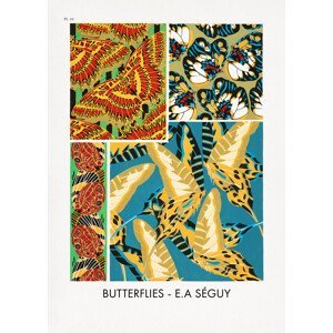 Ilustrace Butterflies 19, Studio Collection, (30 x 40 cm)