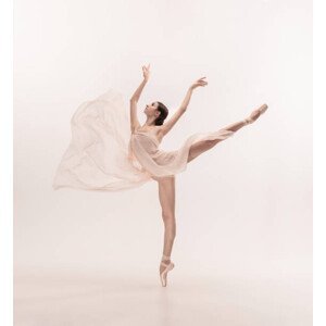 Umělecká fotografie Young graceful tender ballerina on white, master1305, (35 x 40 cm)