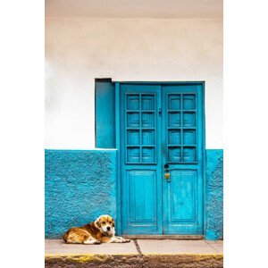 Umělecká fotografie VA106  dog keeping beside door, VDCM image, (26.7 x 40 cm)