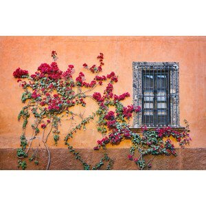 Umělecká fotografie Architectural Details, San Miguel de Allende,, Diane Miller, (40 x 26.7 cm)