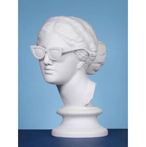 Umělecká fotografie Plaster head wearing sunglasses, lambada, (30 x 40 cm)