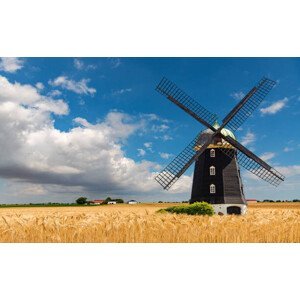 Umělecká fotografie Wheat windmill. Harvest concent. The Stock Photo., Agaten, (40 x 24.6 cm)