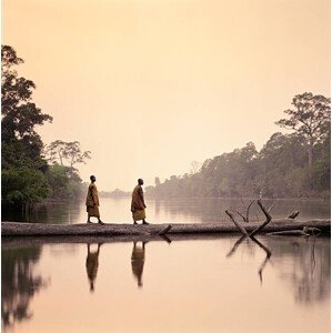 Umělecká fotografie Buddhist Monks walking along submerged tree, Martin Puddy, (40 x 40 cm)