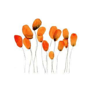 Ilustrace Cluster of orange flowers against white background, Yifei Fang, (40 x 26.7 cm)