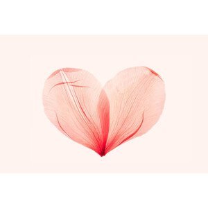Ilustrace Abstract shape heart from pink red, yrabota, (40 x 26.7 cm)