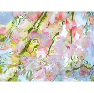 Ilustrace Orchid under warter, stilllifephotographer, (40 x 30 cm)
