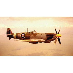 Umělecká fotografie Spitfire aircraft in flight (sepia tone), Michael Dunning, (40 x 22.5 cm)