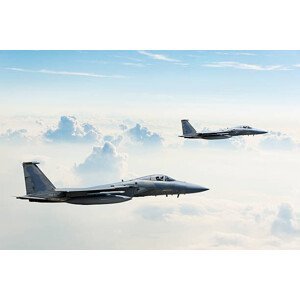 Umělecká fotografie F-15 Eagles in Flight, guvendemir, (40 x 26.7 cm)