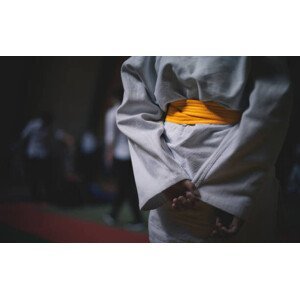 Umělecká fotografie Jiu Jitsu (judo) fighter, Rudolf Vlcek, (40 x 24.6 cm)