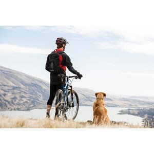 Umělecká fotografie A man mountian biking with his dog., Jordan Siemens, (40 x 26.7 cm)