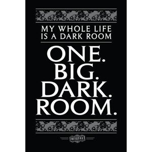 Umělecký tisk Beetlejuice - One big dark room, (26.7 x 40 cm)