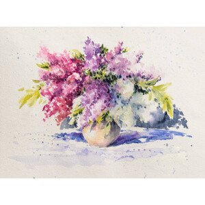 Ilustrace Bouquet of white and violet lilacs, DeepGreen, (40 x 30 cm)