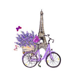 Ilustrace Butterflies, Eiffel tower, bicycle with lavender, zzorik, (35 x 40 cm)