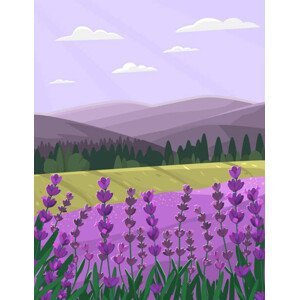 Ilustrace Provence landscape with lavender field. Countryside, Tatyana Dyugay, (30 x 40 cm)
