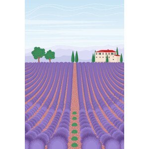Ilustrace Lavender field landscape. Summer vertical background., olhahladiy, (26.7 x 40 cm)