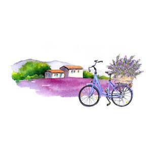 Ilustrace Lavender flowers, bicycle with bouquet in, zzorik, (40 x 22.5 cm)