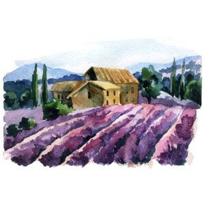Ilustrace Watercolor lavender field landscape. Summer in, Tanya Syrytsyna, (40 x 26.7 cm)