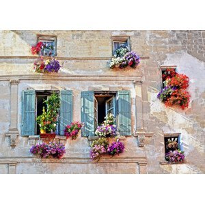 Ilustrace Typical facade of the old Provencal, Marina79, (40 x 26.7 cm)
