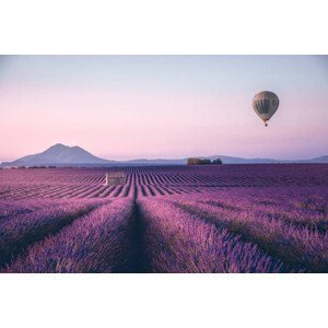 Ilustrace Endless lavender field in Provence, France, serts, (40 x 26.7 cm)