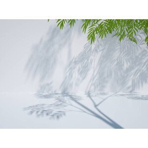 Umělecká fotografie 3D rendering exhibition background, yuanyuan yan, (40 x 30 cm)
