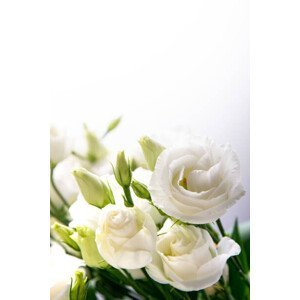 Umělecká fotografie Beautiful flower bouquet with white Lisianthus, Black Lollipop, (26.7 x 40 cm)