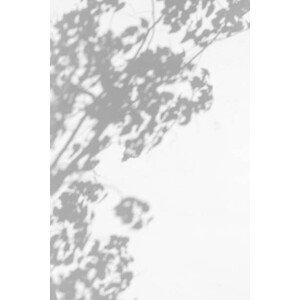 Umělecká fotografie trees branch and leaf with shadow, Andre2013, (26.7 x 40 cm)
