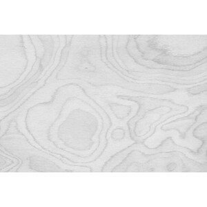 Umělecká fotografie Closeup surface abstract wood pattern at, kenkuza, (40 x 26.7 cm)