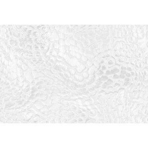Umělecká fotografie White Silver Bubble Background Abstract Snake, Anna Bliokh, (40 x 26.7 cm)