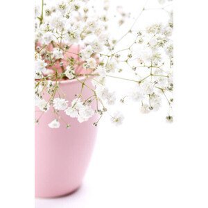 Umělecká fotografie Gypsophila flowers in pink vase on, 5second, (26.7 x 40 cm)