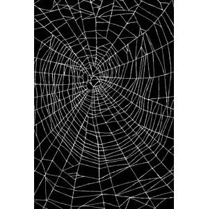 Umělecká fotografie Spider Web Pattern, CSA Images, (26.7 x 40 cm)