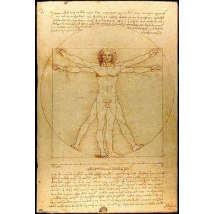 Plakát, Obraz - Leonardo Da Vinci - Vitruvian Man, (61 x 91.5 cm)