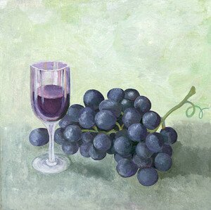 Ilustrace Oil painting of red wine grapes, mitza, (40 x 40 cm)