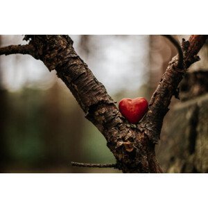 Umělecká fotografie Heart figure in the forest - love concept, sanzios85, (40 x 26.7 cm)